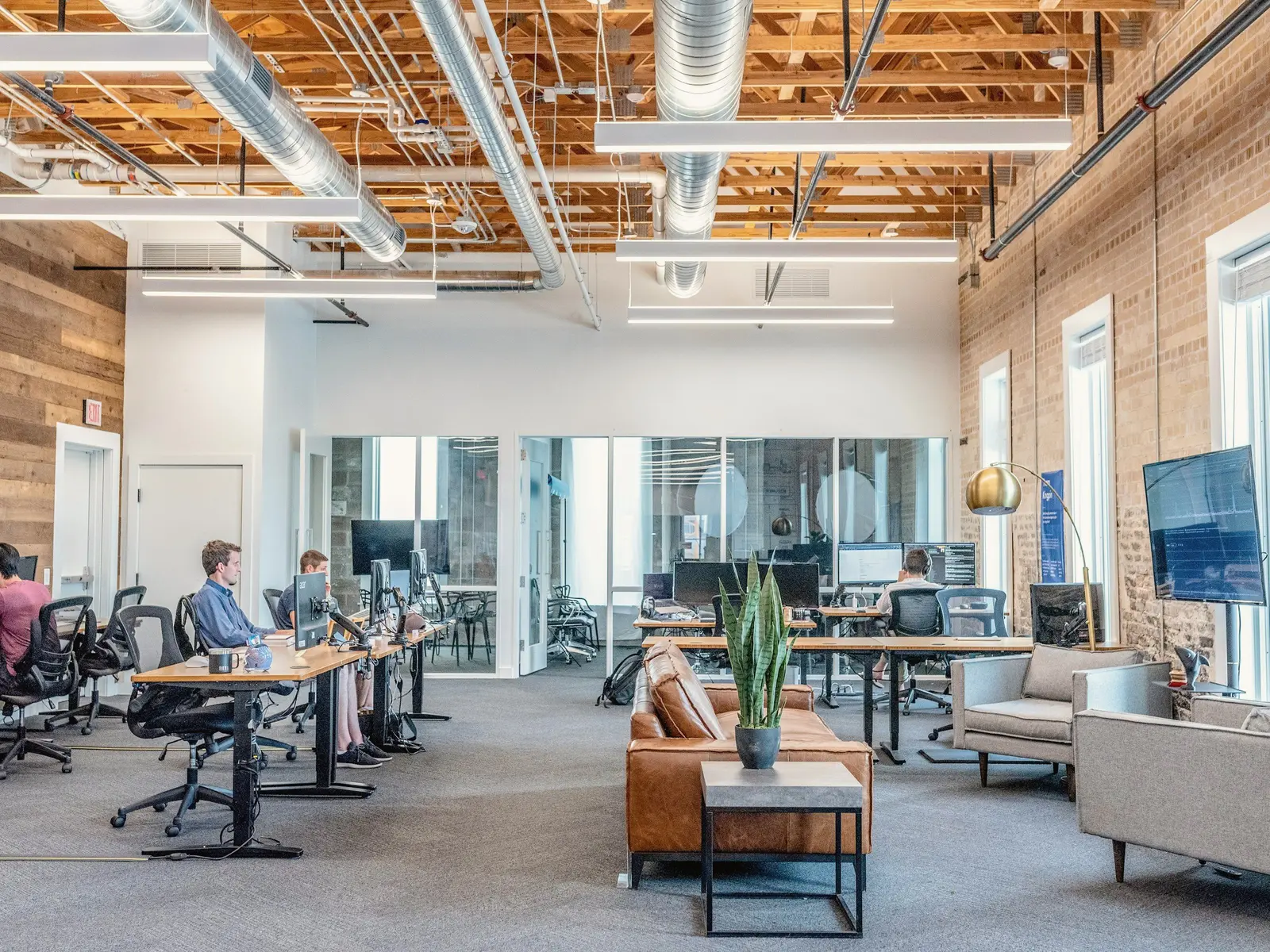 Bright open office with plants and desks